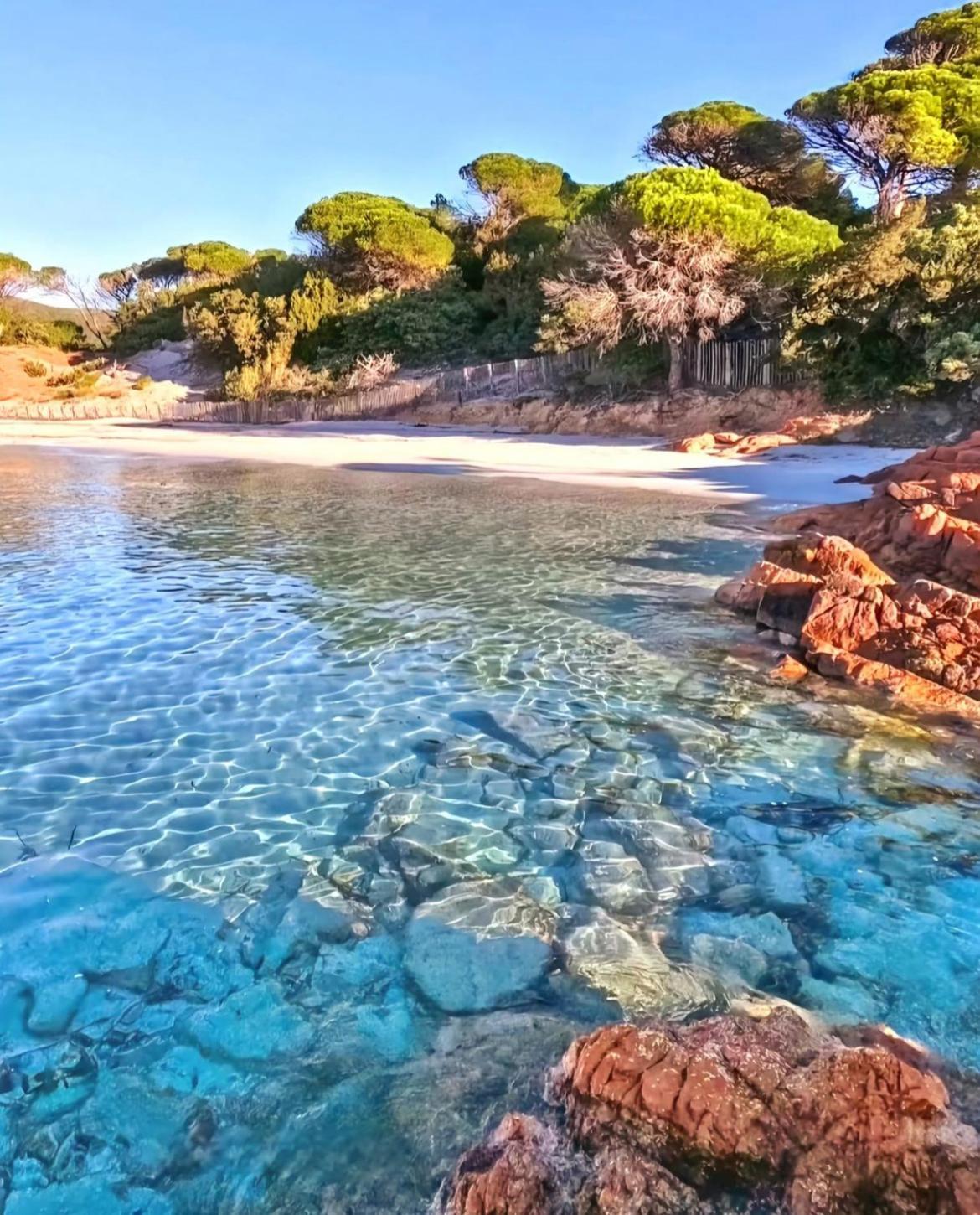 לצ'י Villa Le Corail Rouge Corse מראה חיצוני תמונה